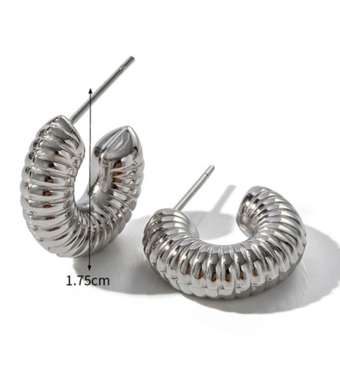 Aretes plata armadillo