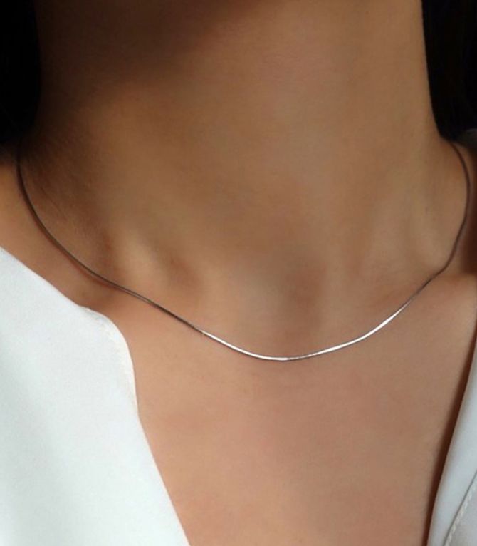 Collar plata snake