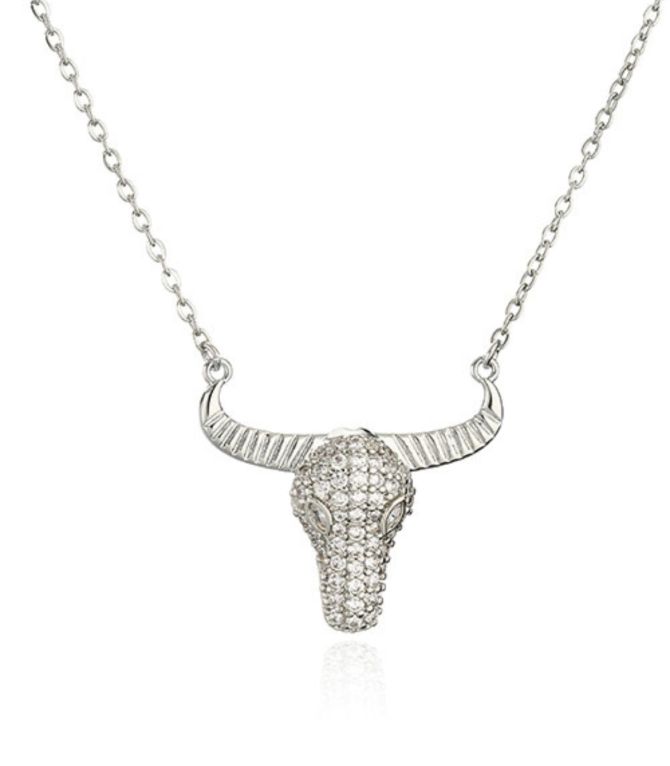 Collar plata bull zirconias