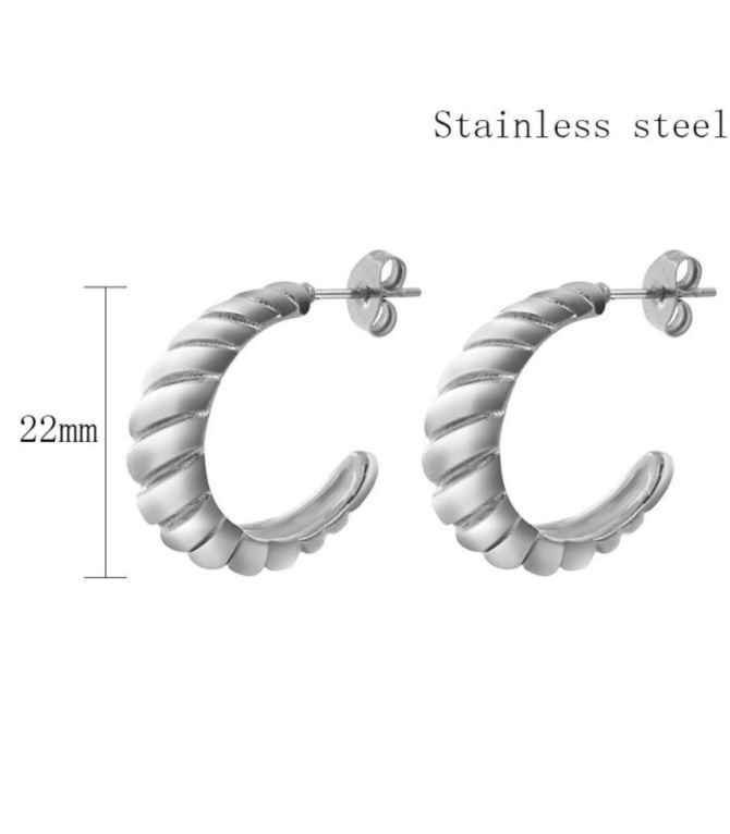 Aretes spiral plata