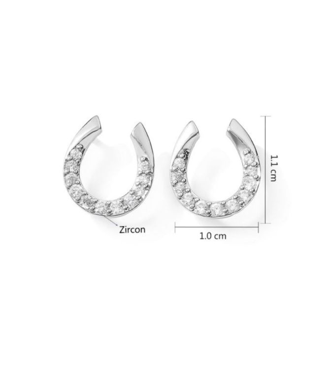 Aretes plata herradura