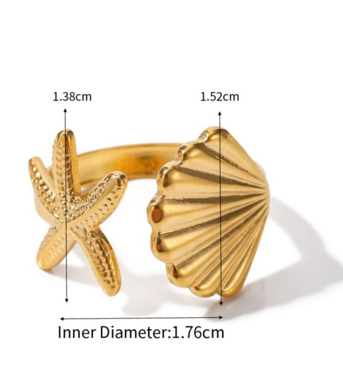 Anillo starfish shell
