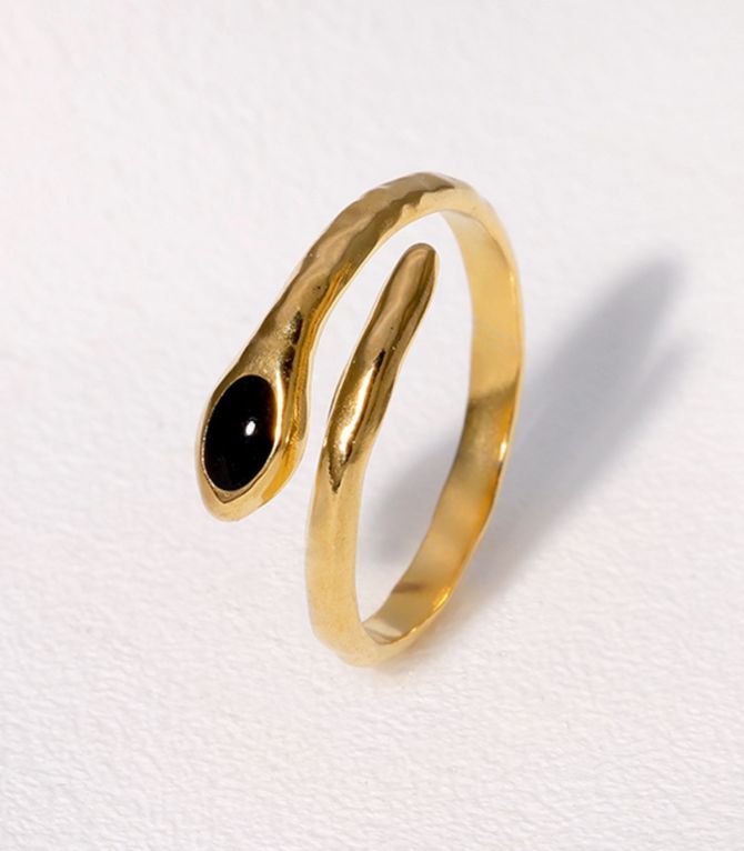 Anillo black snake