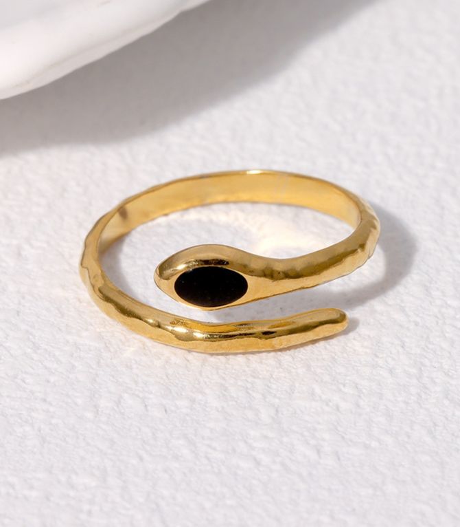 Anillo black snake