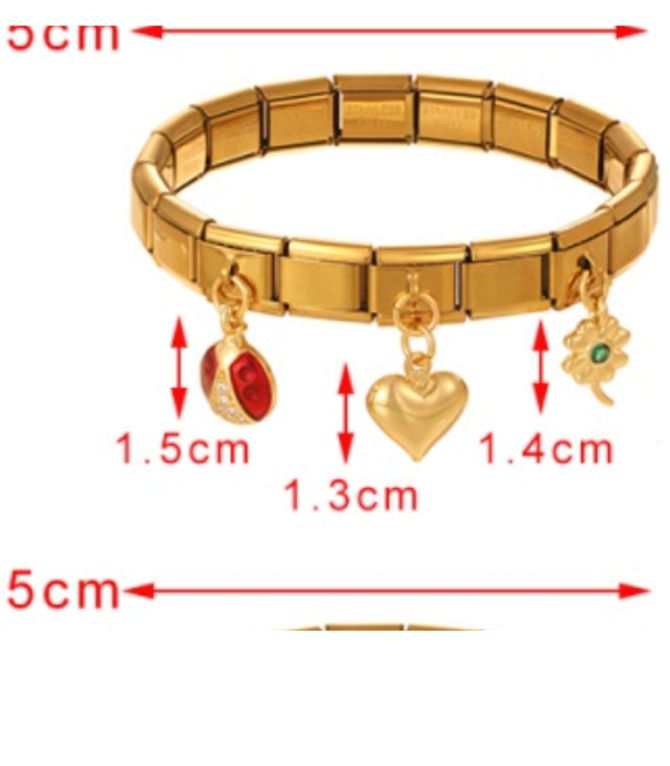Brazalete 1 dorado charms