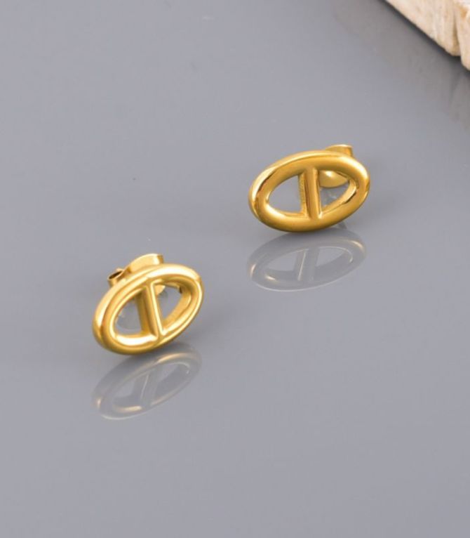 Aretes pig nose