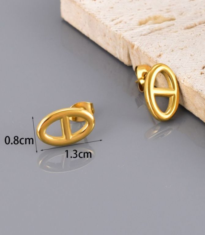 Aretes pig nose