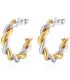 Aretes twist bicolor