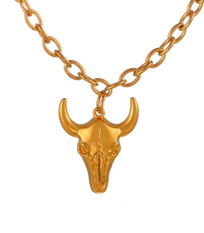 Collar cabeza de toro