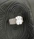 Anillo oso plata