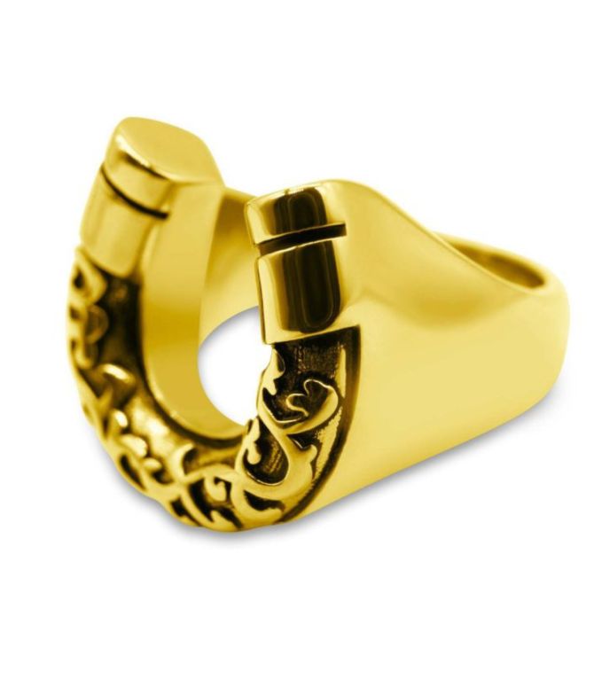 Anillo herradura