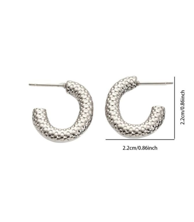 Aretes plata c shaped