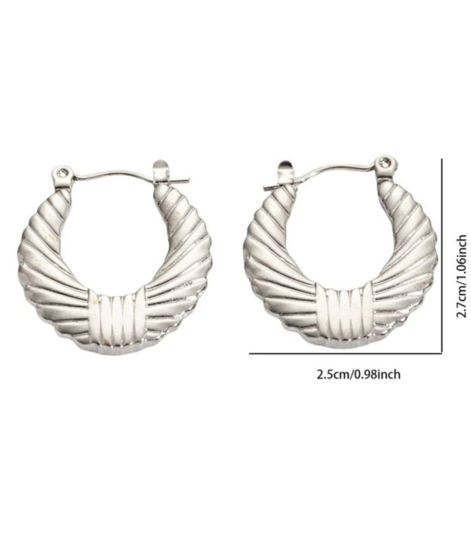 Aretes plata irregular 4