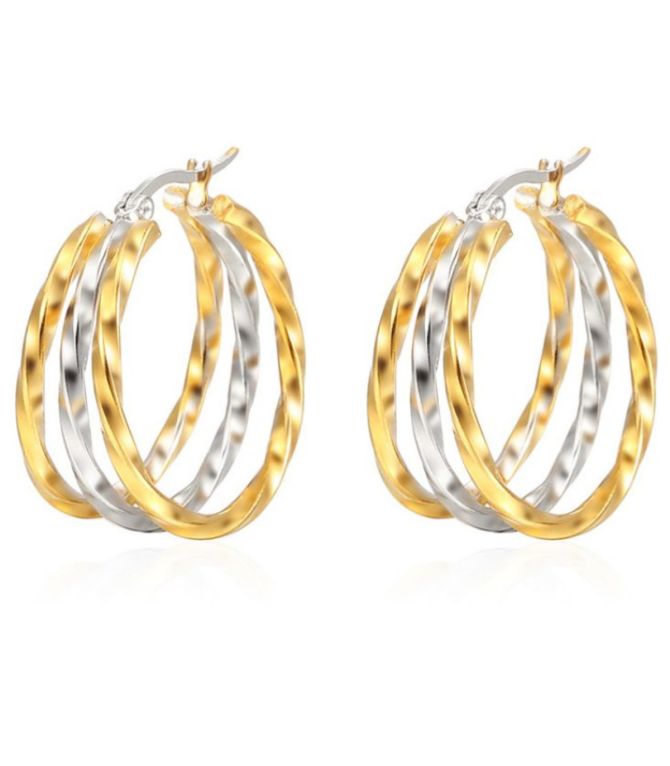 Aretes bicolor twisted wire