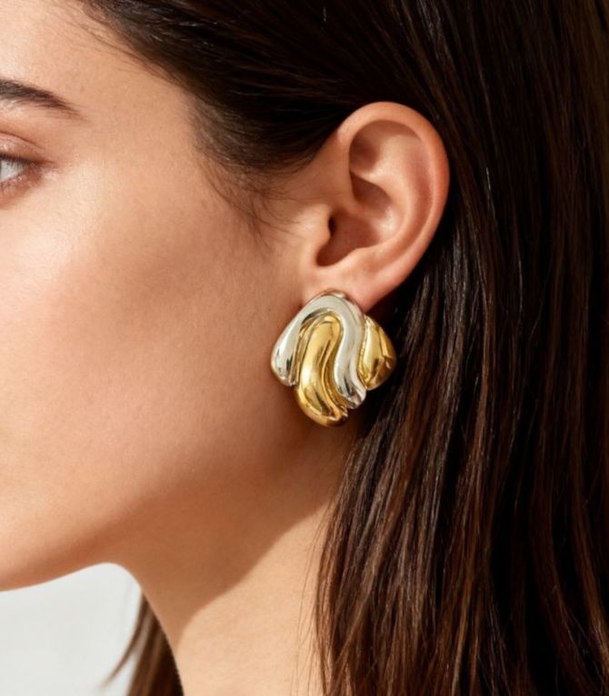 Aretes bicolor irregular