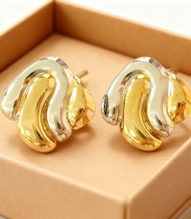 Aretes bicolor irregular