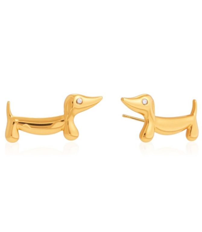 Aretes dachshund