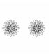 Aretes silver diamond flower