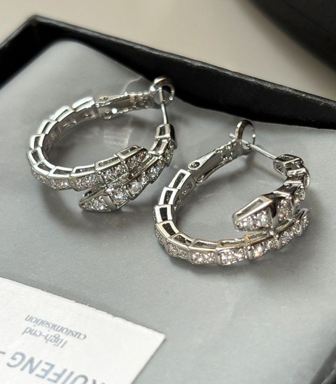 Aretes silver snake